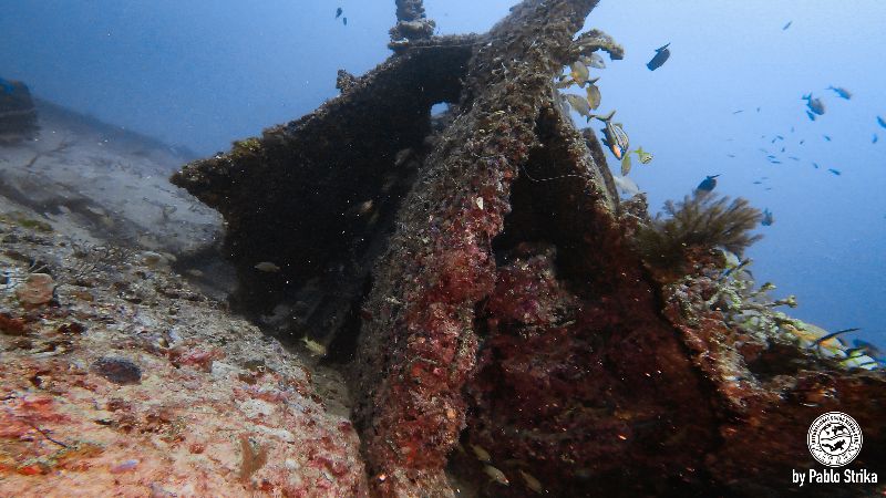 United Caribbean - One of the sections of the wreck fully colonized by corals