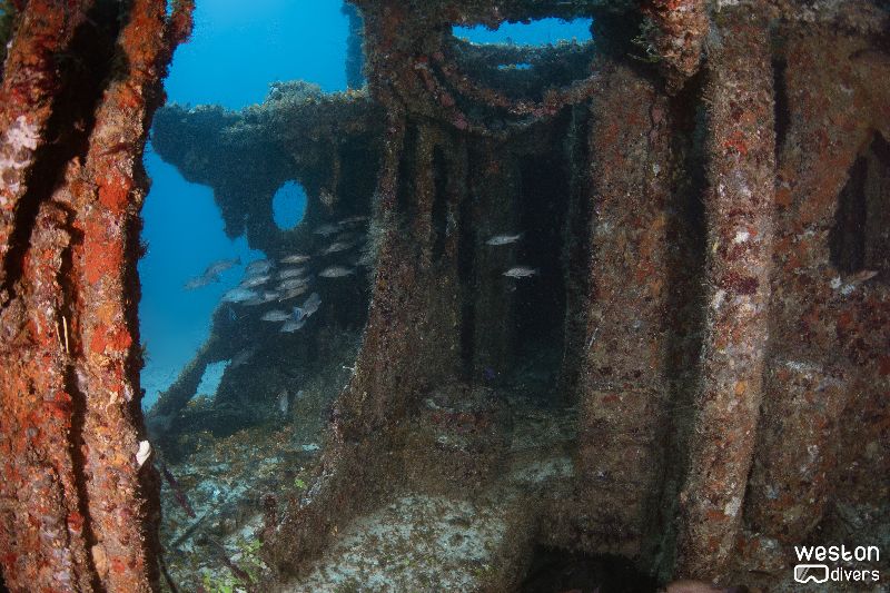 Esso Bonaire - The wreck offers very little penetration