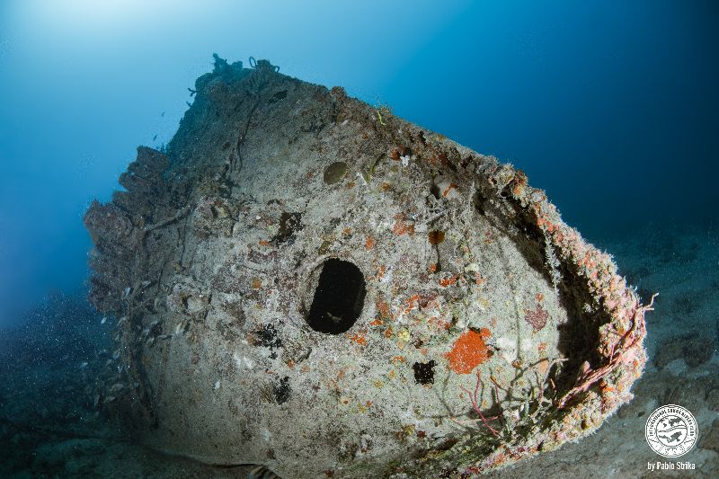 Andro - A view of the bow