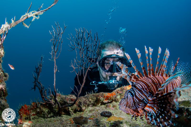 Andro - A diver stares at an invasive lionfish