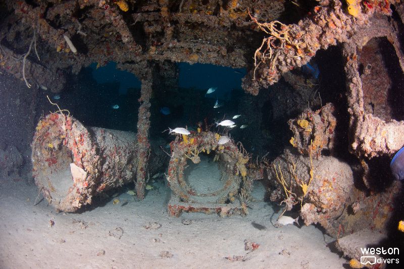 Paraiso III - There are pipes in the cargo holds of this wreck