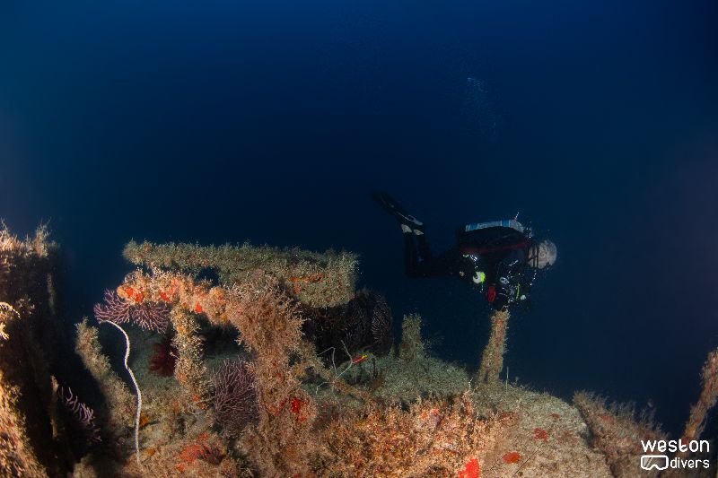 Mystic Isle - A diver swims over the wreck