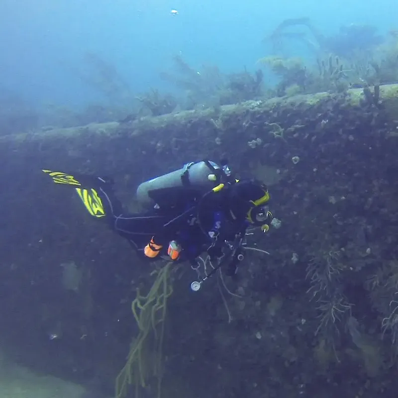 Belcher Barge - A diver explores one side of the barge