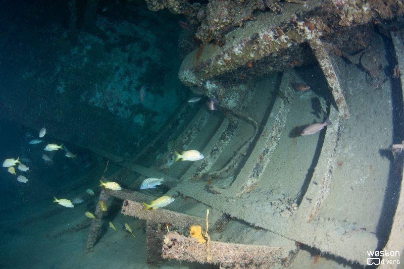 Miss Dania Beach - The hull structure is in a good shape
