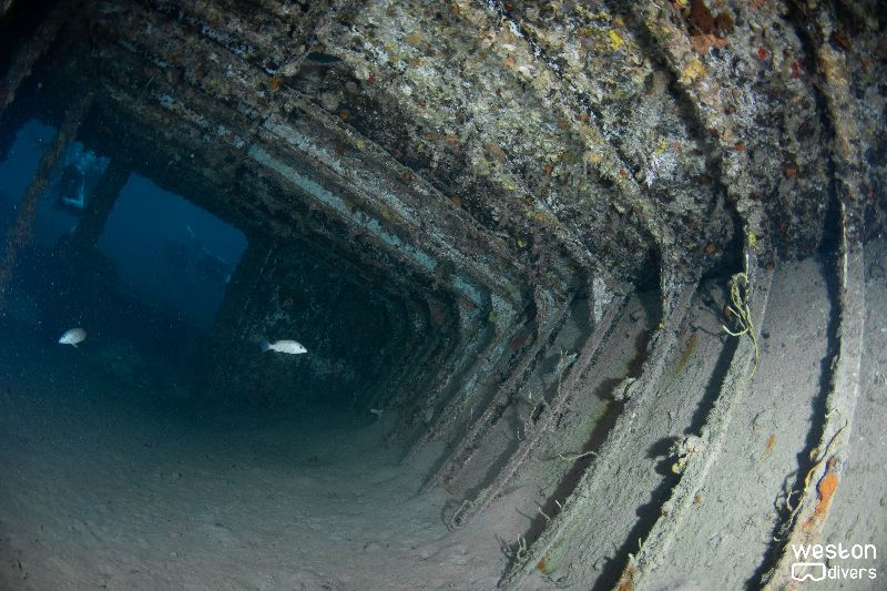 Miss Dania Beach - The interior offers ample space for divers to swim