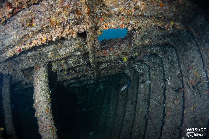 Miss Dania Beach - Hatches and opening were cut for penetration