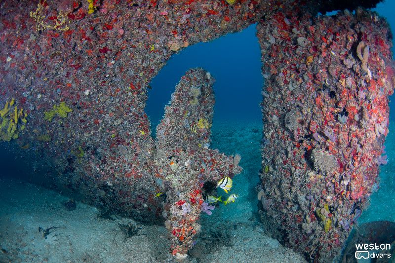 Miss Dania Beach - A must visit is the propeller