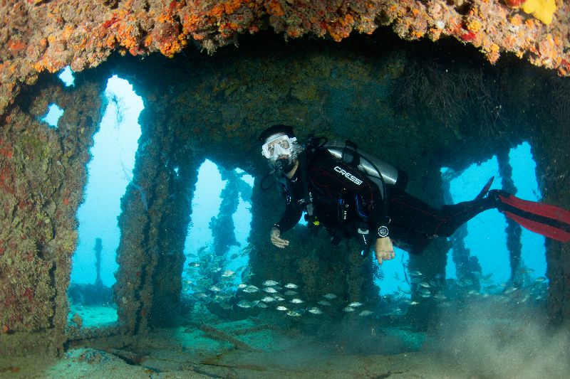 Matthew Lawrence Memorial Reef - A diver explores the interior of the structure