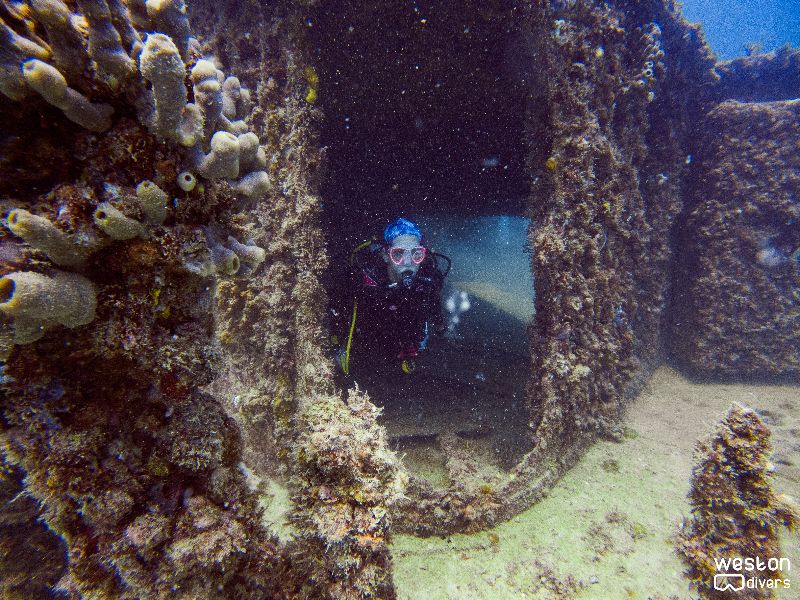 Matthew Lawrence Memorial Reef - The "Lawrence" has been colonized by corals long ago