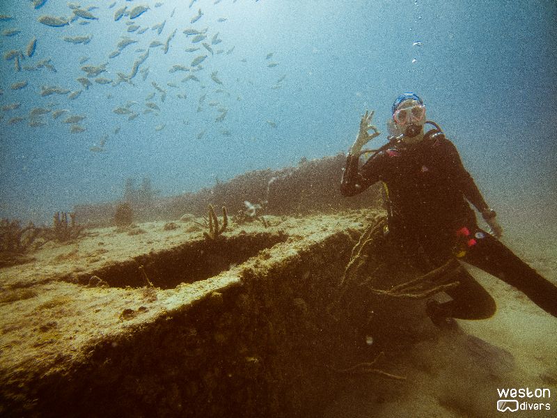 Matthew Lawrence Memorial Reef - A shallow and easy wreck for all level divers