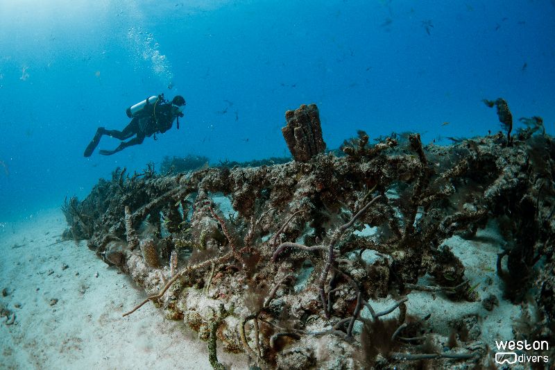 Radio Towers - A diver swims near a tower laying horizontally on the sand