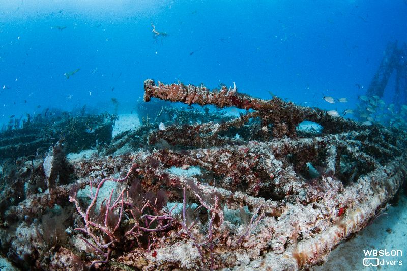Radio Towers - The intricate structure is home to many tropical fish