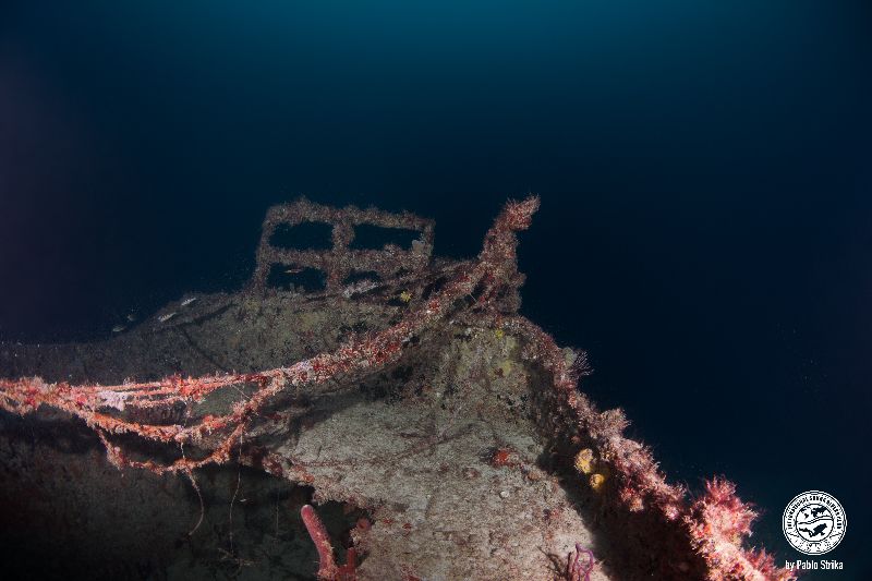 St. Henry Express - Corals have long ago colonized the wreck