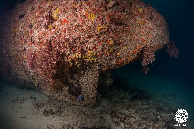 Betek AR Pen - Although the propeller has been removed, the are is a great picture opportunity