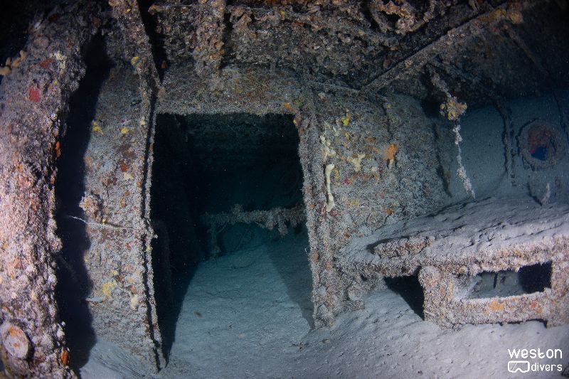 Deep Freeze - Corals have colonized both the inside and outside of the wreck