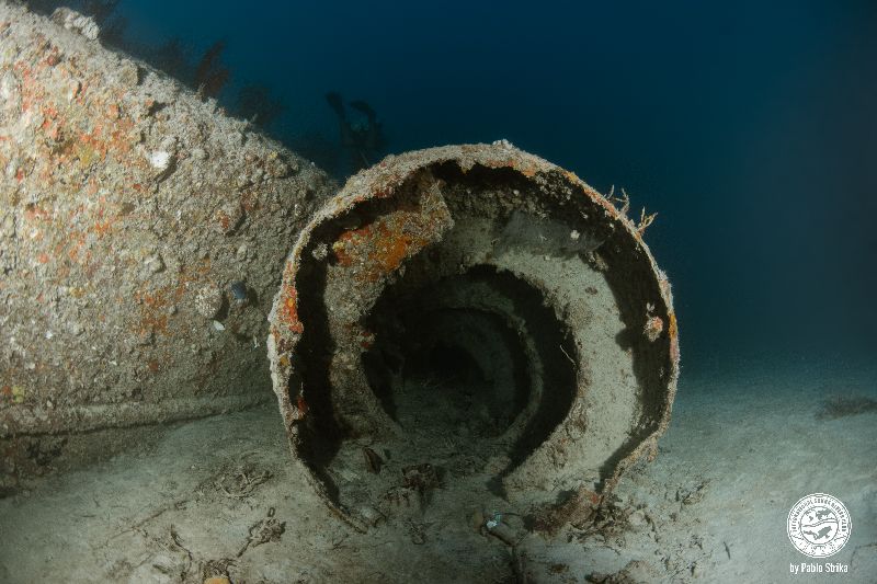Lakeland - Next to the wreck there are some debris that attract marine life