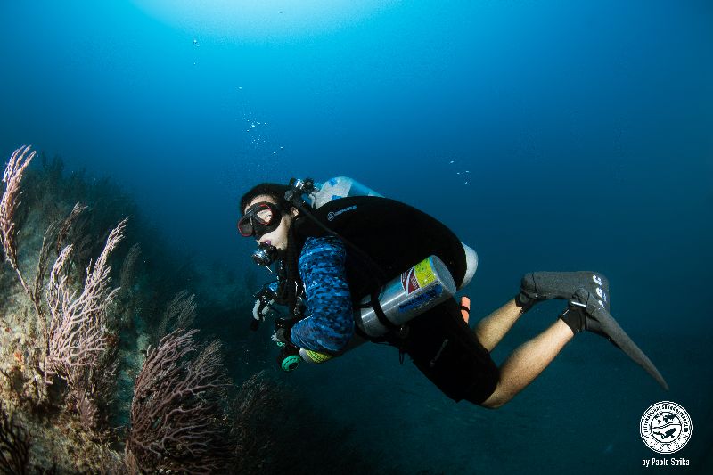 Lakeland dive site photo