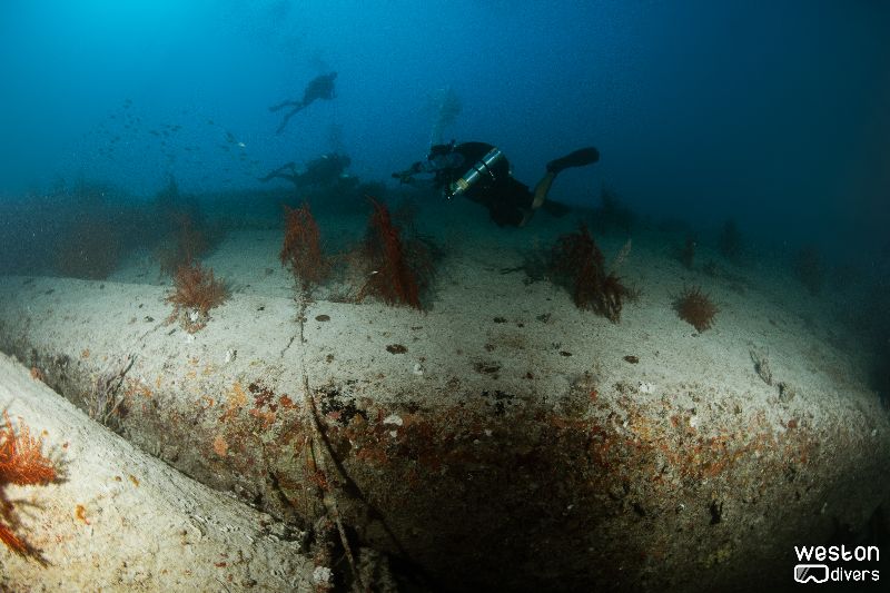 Lakeland - The hull offers very little to explore - even after more than 40 years underwater