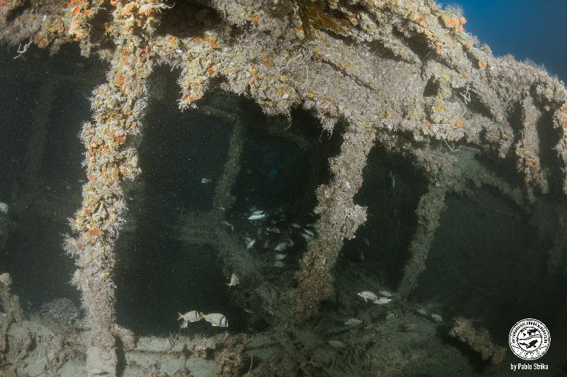 Lakeland - There are several openings to penetrate the wreck