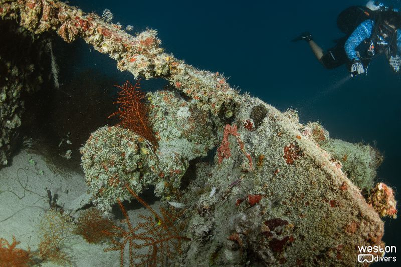Lakeland - A diver explores the propeller