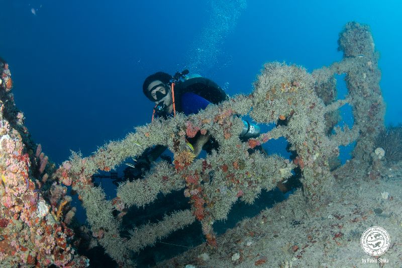 Ophelia Bryan - A diver swims the stern part of the wreck