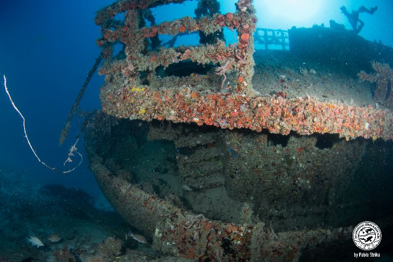 Ophelia Bryan - The stern part of the wreck is still upright and intact