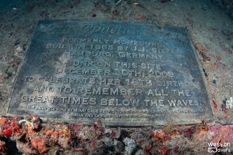 Ophelia Bryan - A close up on the plaque