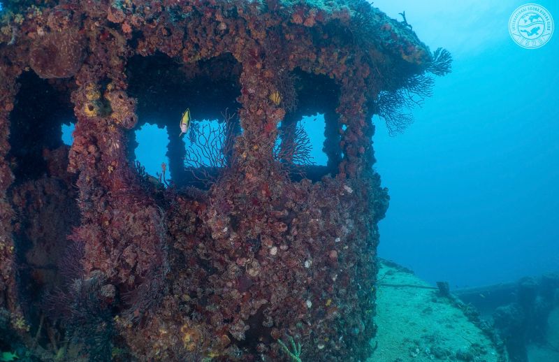 C-One - The wheelhouse - and the wreck in general - is intact