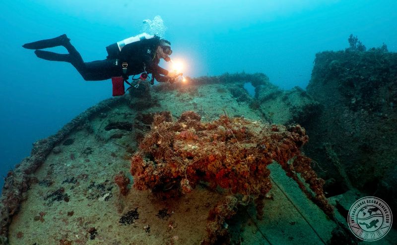 La Concepcion - A diver hovers over the wreck