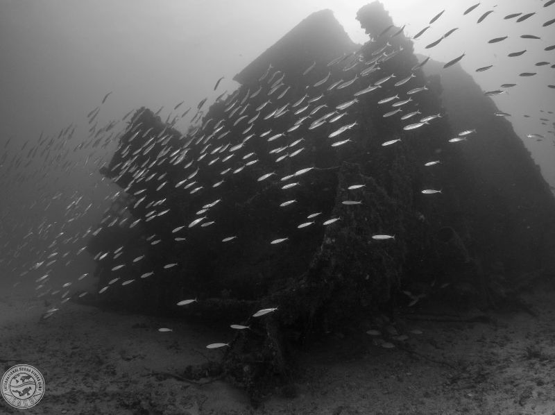 La Concepcion - A nice view of the wreck
