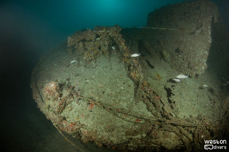 Narwal - The stern section lies on its starboard side
