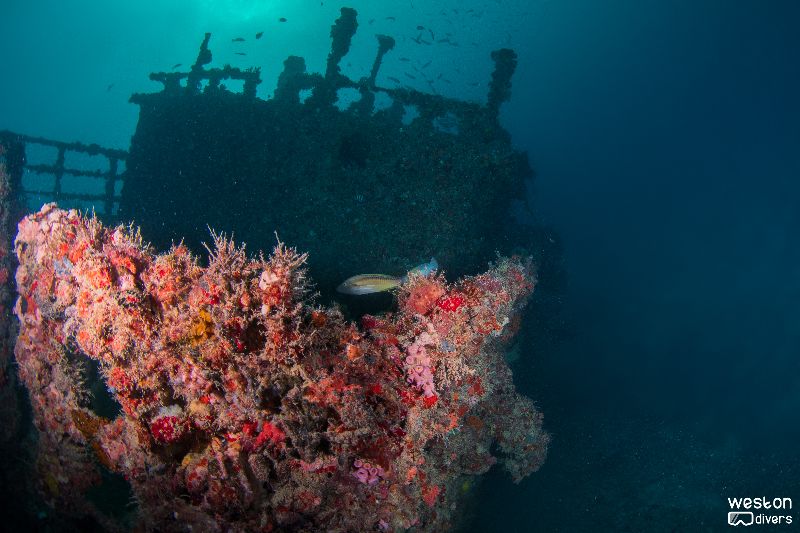 Eben-Ezer-II - The wreck offers multiple penetration opportunities
