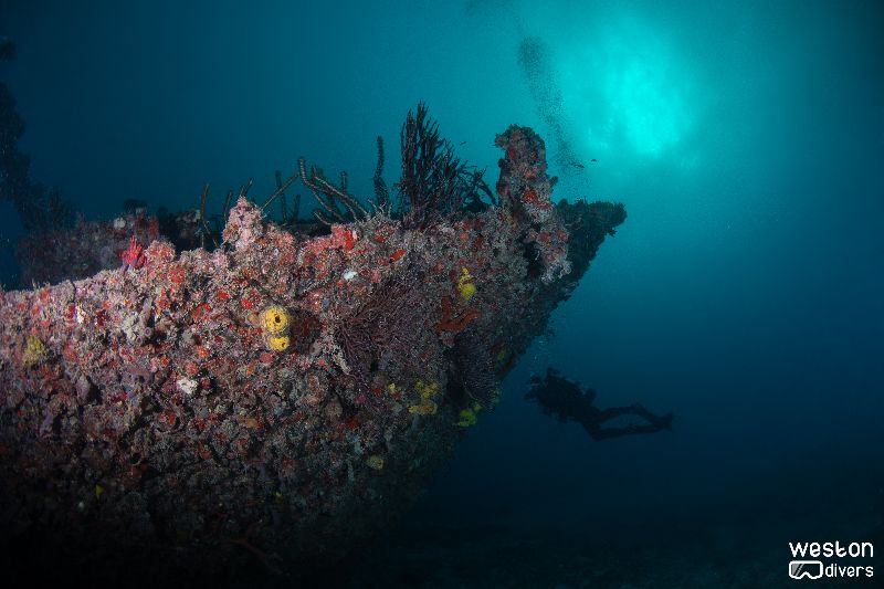 Eben-Ezer-II - A diver swims behind the wreck