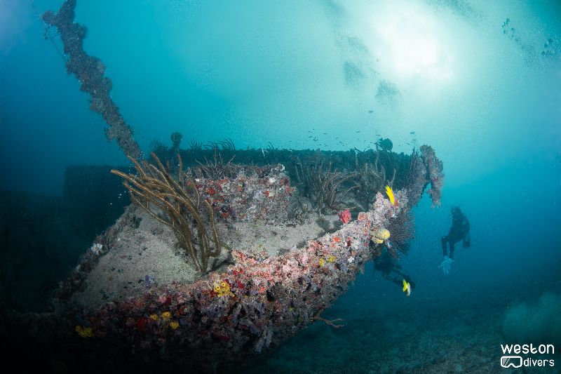 Eben-Ezer-II - The bow area of the wreck