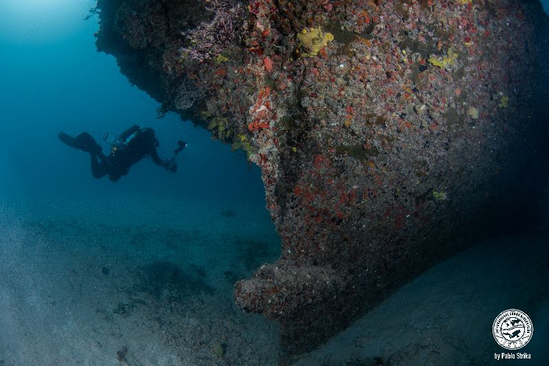 Donald G. McAllister - The propeller of this wreck has been removed