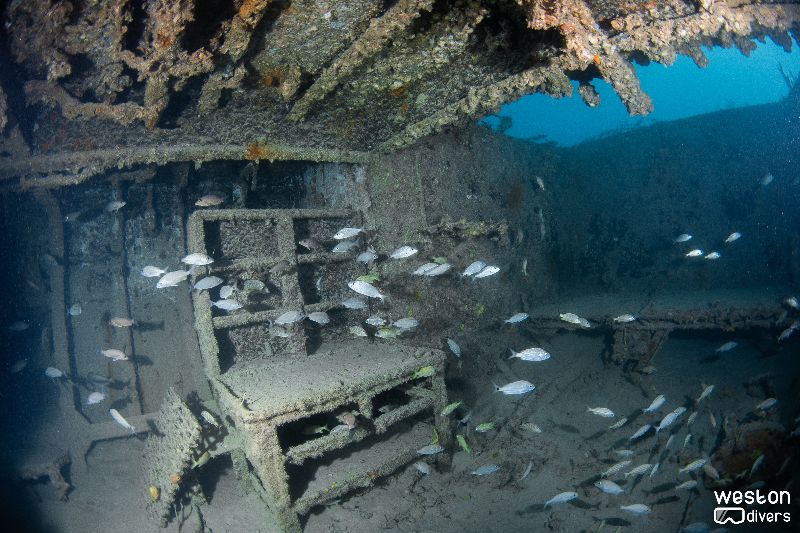 Donald G. McAllister - The interior of the wreck has many artifacts