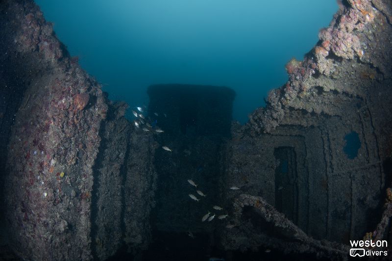 Donald G. McAllister - A view of the wheelhouse from the lower level