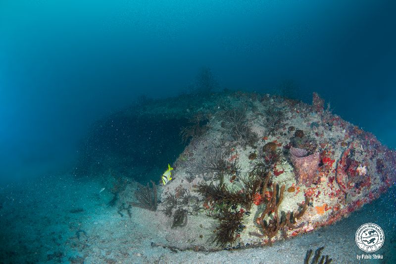 Summerfield - The wreck is tilted to its starboard side.