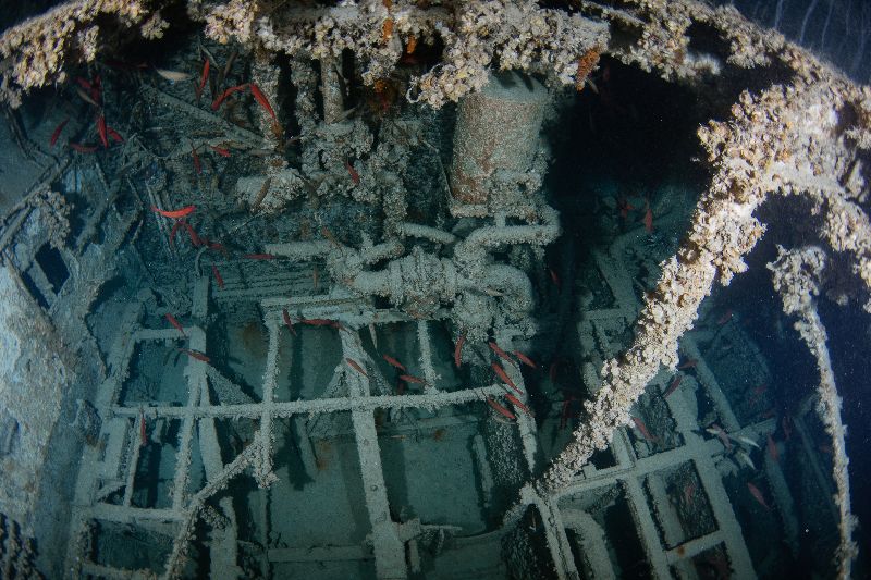 Bulk Trader - The stern is opened and offers a nice view of old machinery