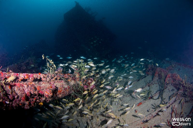 Rebel - The midsection of the vessel is collapsed