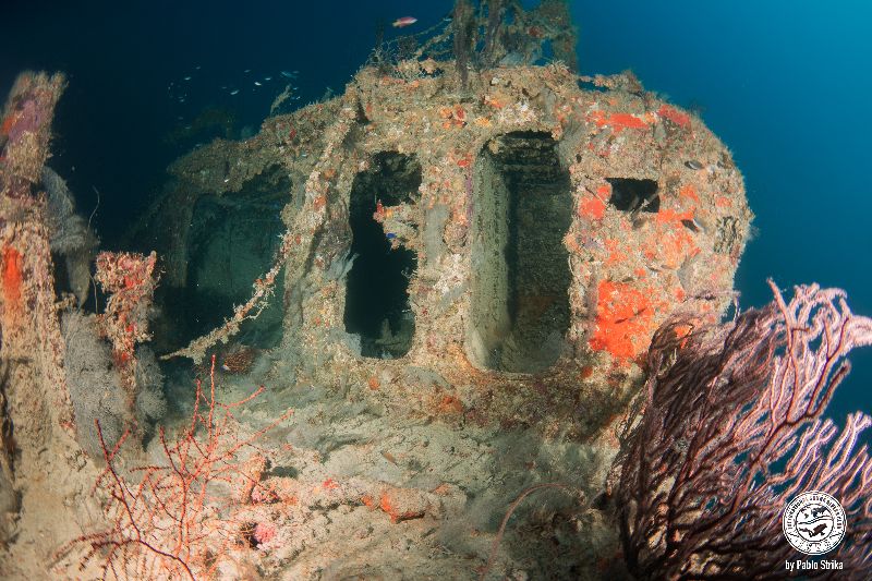 Imor - Soft and hard corals covered the wreck long ago