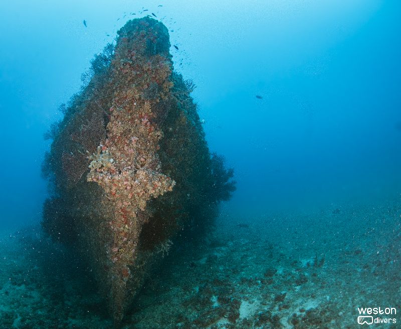 Mariner 2 Tug - A view when approaching the wreck from the south