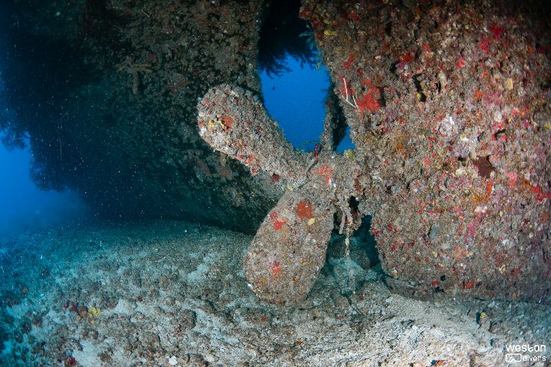 Mariner 2 Tug - The powefull propeller is still in its place