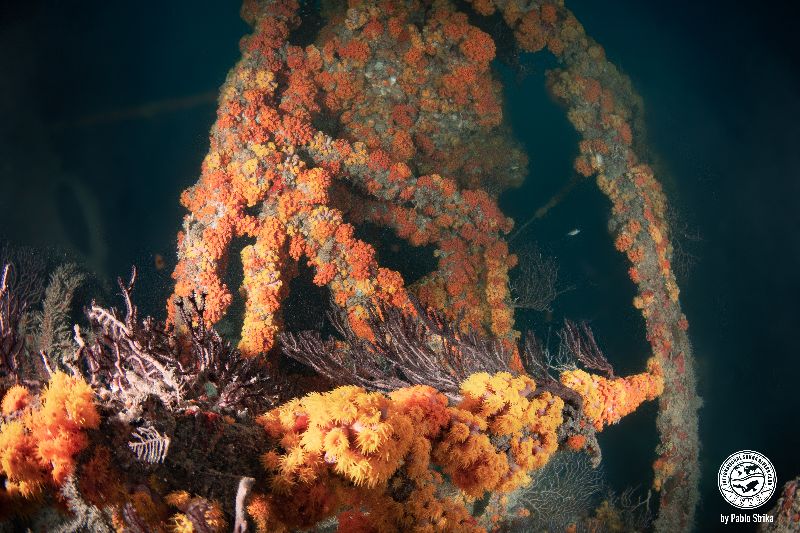 Dewitt Clinton - The tall columns of this dredge are still standing