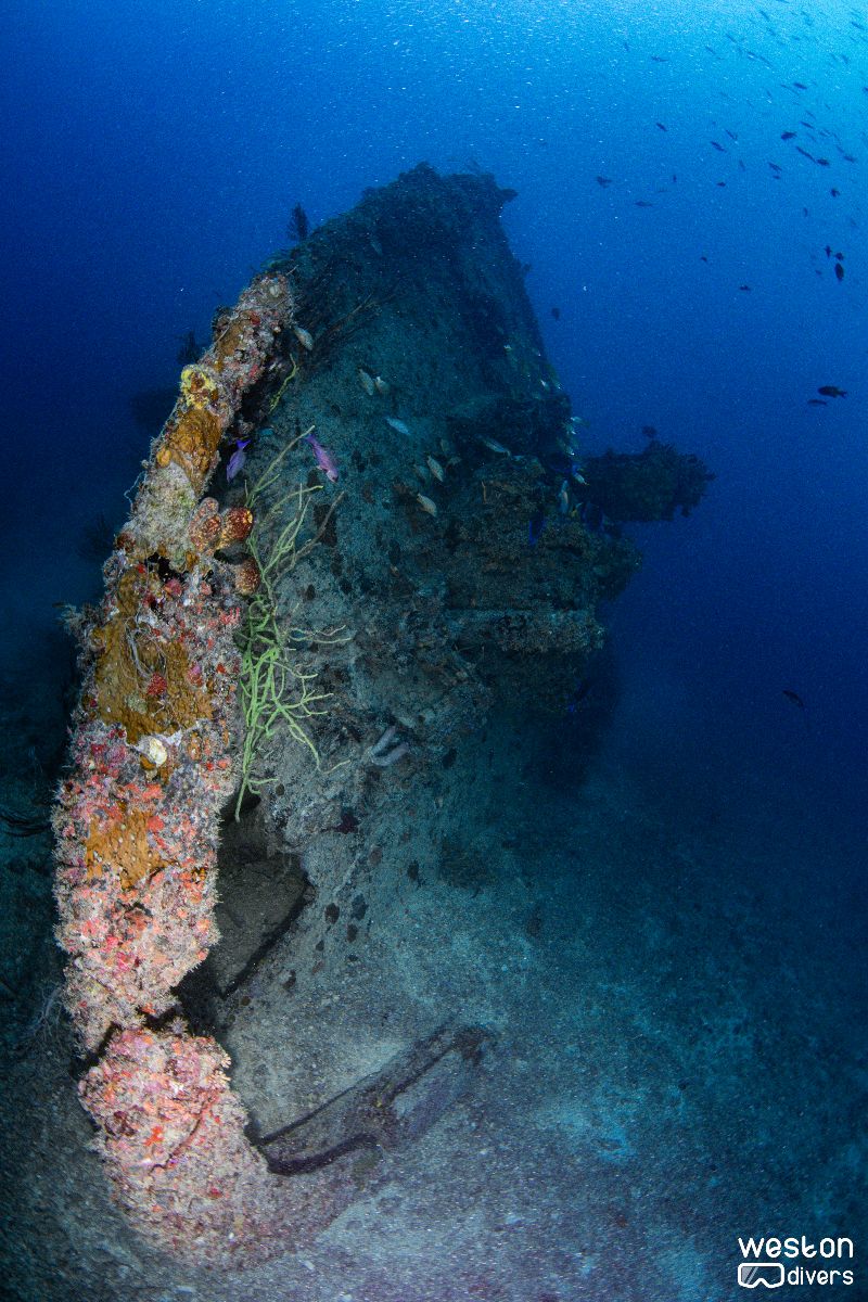 Union Express - A section of the wreck