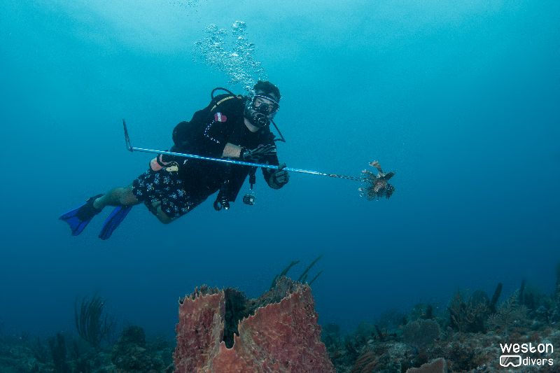 Sunkist - A diver with a lion fish just speared