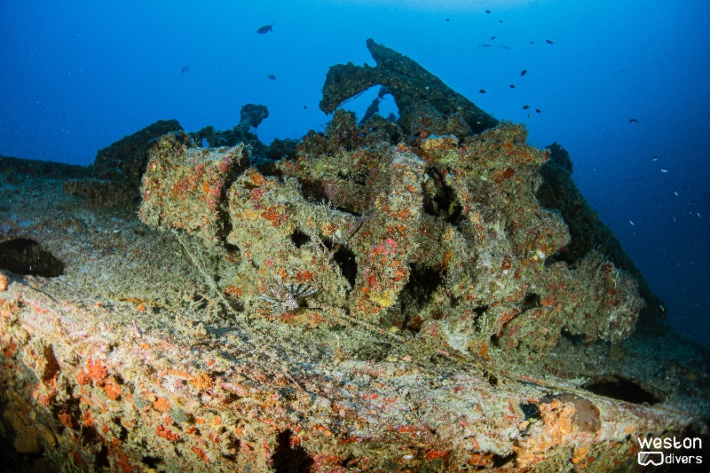 Northern Light - Visibility is often outstanding on this wreck