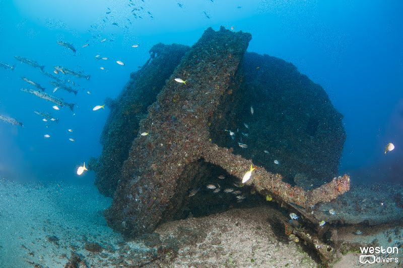 Shasha Boekanier - A stern view of the wreck