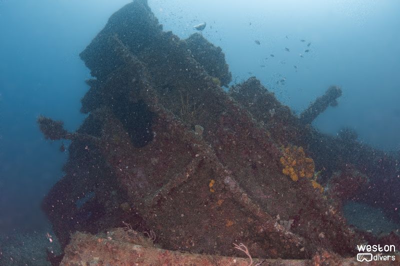 Thozina - The wreck received significant damage during several storms