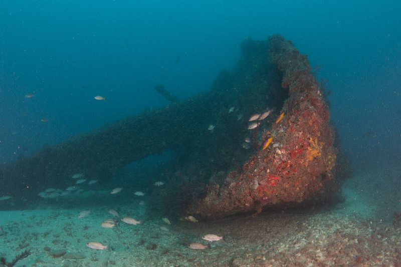 Thozina - It's resting on its starboard side
